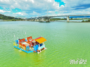 [현장 가보니] 초록빛 낙동강…강물 위로 퍼진 ‘녹조의 띠’
