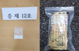 [서민 영혼 갉아먹는 대구 조직범죄] 대구 마약류 사범 매년 수백명…SNS 타고 확장되는 마약 공급망