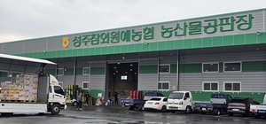 성주참외원예농협, 공판장 매출 800억 원 돌파지역 농산물 유통의 새 역사… 품질관리·유통혁신이 이끈 성과