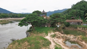 [여행-충북 영동 강선대] 강물에 비친 낙락장송·석대…선녀도 반했다