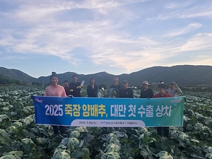 포항 양배추, 대만으로 ‘출발’