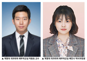 B형 간염 단독으론 간암 안 생긴다?…외부 요인 결합 시 위험 급증