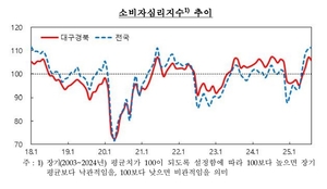 전국은 지갑 여는데…대구경북은 다시 닫히나