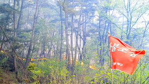 대구 함지산 산불 용의자 “담배는 피웠다”…산림사업 감리업체 근무자 법 위반 ‘도덕적 해이’