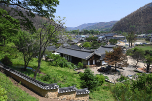 [일상이 풍요로운 문화도시 산소카페 청송] 9. 고택의 숲