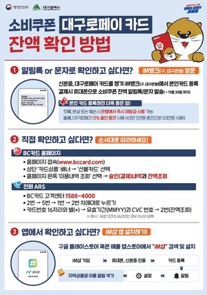 “대구로페이 소비쿠폰 잔액, 본인등록 후 쉽게 확인하세요”