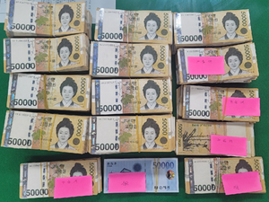 캄보디아서 440억 규모 불법 도박사이트 운영…대구경찰, 조직원 10명 검거