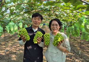 [동네뉴스]“부모님의 포도밭을 지키며 제2의 인생을 살고 있습니다” 귀농 5년 차 부부의 달콤한 도전