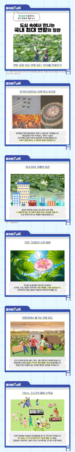 [들어봐TalK]연탄공장 대신 연꽃바다… 반야월 연꽃단지