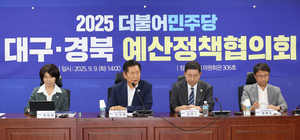 민주당, “대구경북 특별히 더 지원할것”