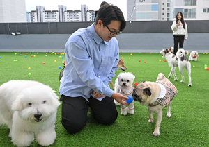 [직업체험, 영남이가 간다] “왈왈! 왈왈!”…멍멍이와 행복 나누는 ‘강아지유치원’ 교사들