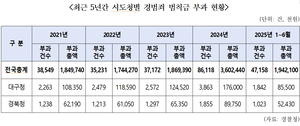 [국감파일] 기초질서 붕괴? 대구경북 경범죄 5년 새 크게 늘었다