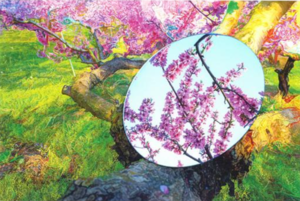 갤러리 아르, 황혜경·임영미·김문영 작가 참여하는 사진전 ‘보이지 않는 연결’ 개최