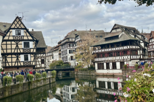 [위클리포유 커버 스토리] 프랑스 속 또 다른 독일, 알자스 지방을 걷다
