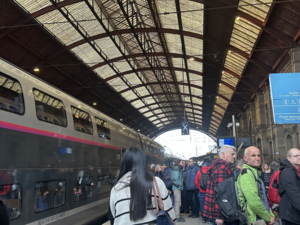 [위클리포유 커버 스토리] 프랑스 속 또 다른 독일, 알자스 지방을 걷다