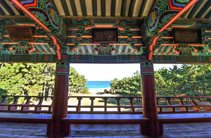 [자연의 속도로 걷다, 울진] 1. 느림이 빚은 풍경…솔바람과 파도 소리가 머무는 월송정