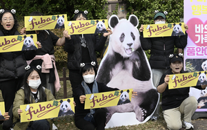 [포토뉴스] 푸바오 사육환경 개선 촉구 기자회견