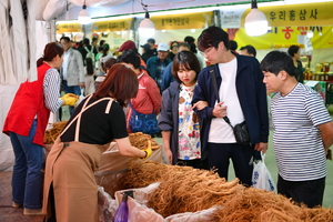 영주시, 축제 통합 ‘예산 대비 성과’ 도마에