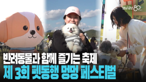반려견과 함께하는 ‘2025 멍멍 페스티벌’