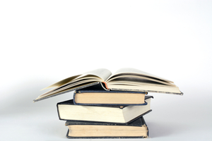 [제32회 영남일보 책읽기賞 입상자 명단] 대학·일반부 최우수 박수진, 중·고등부 최우수 쌍둥이 형제 이태윤·이윤성