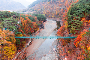 단풍과 계곡이 빚은 가을 힐링로드 '영덕 산성·옥계계곡'