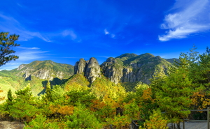 불탄 숲에도 가을은 온다… 청송 주왕산과 주산지