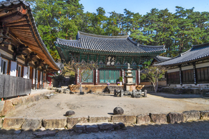 [자연의 속도로 걷다, 울진] 2. 부처의 그림자가 머무는 곳, 고요 속에서 피어나는 내면의 등불 ‘불영사’