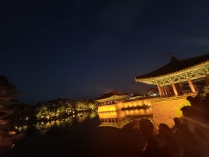 [박재일 칼럼] 레빗과 마틴의 경주 황리단길