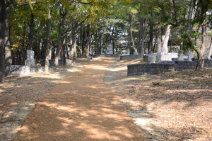 도심 속 고즈넉한 ‘모두의 정원’, 이건희 컬렉션 석조물 257점 대구시민 품으로