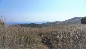 [주말&amp;여행-경남 합천 황매산] 금빛 물결 일렁이는 만추의 속삭임