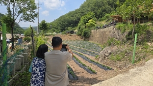 충성 경쟁 하루 만에 철회… 서대문구의회 ‘안동 생가 건의안’ 결국 백기