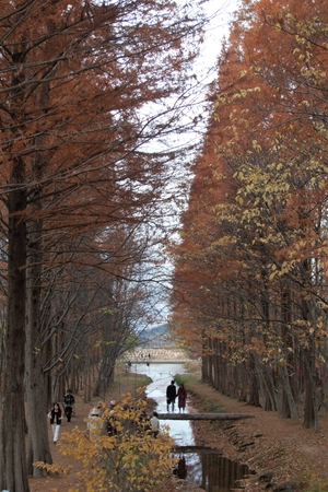 [주말&amp;여행] 지금 가면 좋은 ‘늦가을 명소’…쉼 없이 깊어지는 만추의 색에 홀리다
