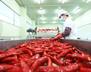 영양군, 산지 한계 넘어 지속가능 농업 모델 구축 박차