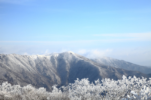 [주말픽] 능선의 파노라마, 겨울 대비의 미학 ‘소백산국립공원’