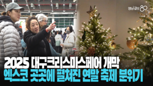 2025 대구크리스마스페어 개막... 엑스코 곳곳에 펼쳐진 연말 축제 분위기