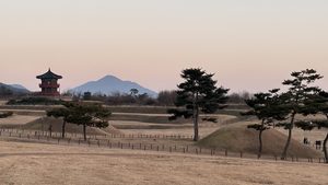 [위클리포유 커버 스토리] 43년 햄버거집부터 고분군까지…세월·역사 간직한 농촌으로