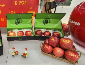 ‘감홍사과’, 세계시장 노린다...문경시 ‘감칠단맛’ 완성