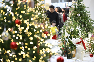 [포토뉴스] 크리스마스트리 살펴보는 대구시민