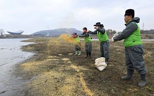 [포토뉴스] 달성습지에서 철새 먹이주는 시민구조봉사단 