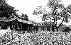 흑백으로 보는 대구의 유산, ‘대구를 보다 14-대구의 고택’展