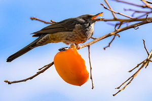 포근한 주말, 방심은 금물…경북 내륙 비 뒤 ‘도로 살얼음’ 주의