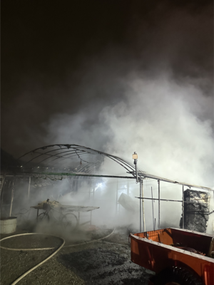 새벽의 비극, 대구 비닐하우스 화재로 부부 사망