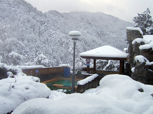 [주말, 픽] KTX 개통 앞둔 울진, 겨울 여행지로 부상