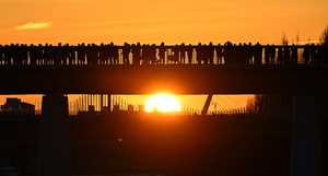 ‘병오년’ 휴일, 주말 포함 ‘118일’ 쉰다…‘3일 이상’ 연휴 총 8번