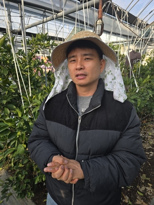 대구서 감귤농사 짓는 40세 청년농부 손효동씨 “농사는 욕심보다 지속성이 중요”