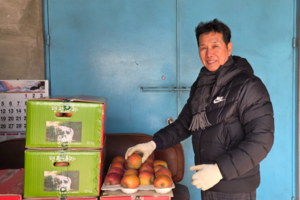 [대구 농업리포트 ②] “겨울에 추워야 사과 달아…기후변화? 대구사과 건재”