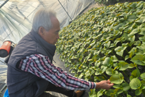 [대구 농업리포트 ③-인터뷰] “청년·창업농 비해 중소농가 관심 부족…자가발전설비 지원땐 큰 도움”