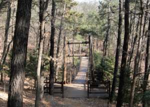 [주말&여행-대구 달서구 와룡산 자락길] 어린 편백 수천그루 자라는 곳…숲 속 놀이터엔 아이들 웃음 자란다