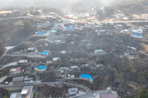 신규 원전, 입지로 쟁점 이동…영덕 ‘대형’, 경주·군위 ‘SMR’ 물망