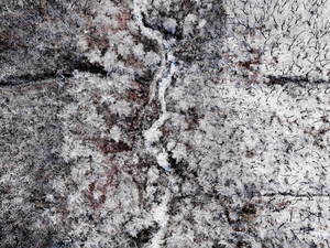 [포토뉴스] 백색의 상흔을 품고, 회복의 시간을 준비하는 산